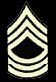 Master Sergeant (M/Sgt)