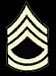 Technical Sergeant (T/Sgt)